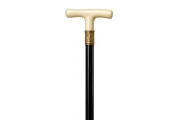 Ornate walking stick with a transparent background for creative design.