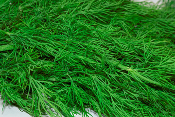 A vibrant bunch of fresh organic dill, shot at close range. The shot showcases the detailed texture of the feathery leaves and the rich green color. Perfect for healthy eating content, cooking recipes