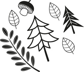 Black and white of autumn leaves and acorn © Jahangir