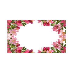 Vibrant pink floral border on black background for design