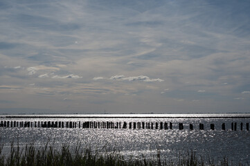 Breakwater in the sea with beach and grasses in the foreground
