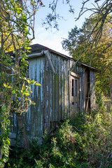 Old, dilapidated hut in nature