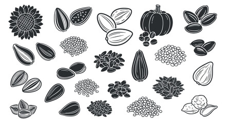 A collection of various seeds including sunflower, pumpkin, and sesame in black and white vector style, ideal for health and nutrition projects