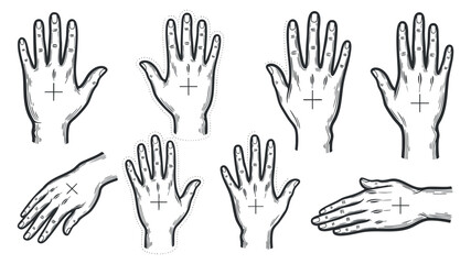Obraz premium A collection of various hand gestures and positions in detailed line art vector style, suitable for educational and artistic projects