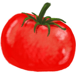 Tomato red vegetable hand painting chalk illustration art