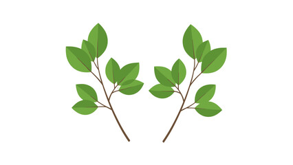Two Simple Green Branch Designs Isolated on Black Background, Minimalist Nature Element, Organic Symmetry, Decorative Foliage for Modern Websites and Creative Projects