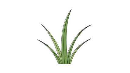 A single green grass cluster with slender blades, isolated on a black background, symbolizing growth, nature, and simple organic beauty.
