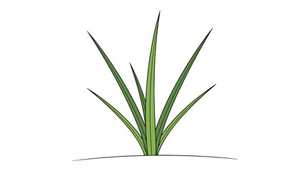 Lush Green Grass Blades Isolated on a Black Background, Illustrating Nature's Simplicity