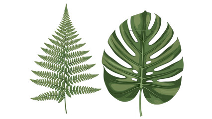 Stunning Watercolor Renderings of Intricate Fern Fronds and Large Monstera Leaf, Capturing Tropical Jungle Flora for Design © Lua