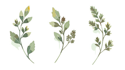 Botanical Sprigs Trio: Subtle Greenery with Delicate Leaves, Ideal for Floral Designs and Artistic Touches.