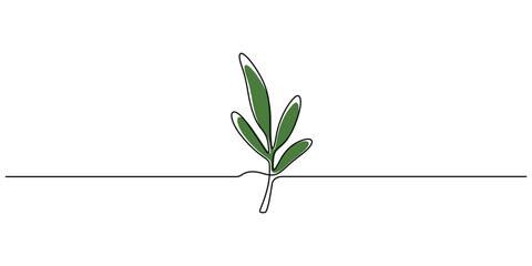 Minimalist single line-art illustration of an olive branch with green leaves graphic illustration