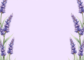 Lavender flowers on light purple background with green leaves