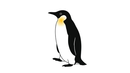 Fototapeta premium Vector illustration of a standing penguin in flat design isolated on white background