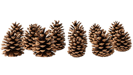 Row of brown pine cones on black background pinecones