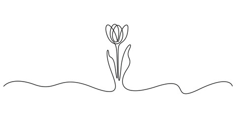 Minimalist continuous line art drawing of a tulip flower. Unbroken single line art stylized tulip bud with leaves