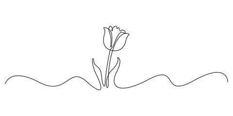Tulip single line drawing. Abstract flower continuous one line illustration. Minimalist line art tulip. Continuous line drawing of flower tulip. Tulip flower with leaves. Vector illustration