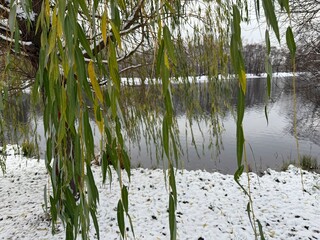 pond in the winter park