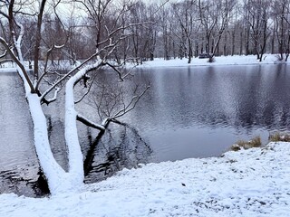 pond in the winter park