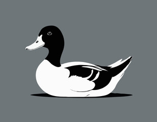 Obraz premium duck in black and white animal illustration