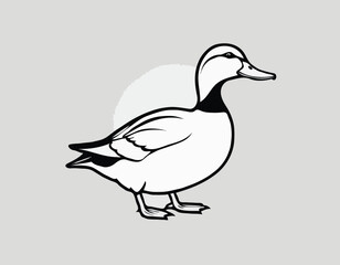duck in black and white animal illustration