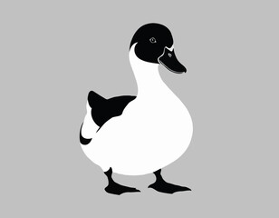 duck in black and white animal illustration