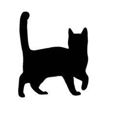 black cat silhouette