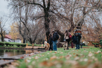 Obraz premium Teenagers walk with dogs along a park path by a calm pond, capturing a relaxed autumn scene.