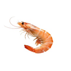 [Transparent Background PNG]Fresh and delicious cooked shrimp with bright color