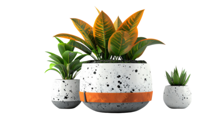 Three decorative potted plants against a transparent backdrop, featuring various leaf sizes and shapes. The containers have a speckled design and a minimalist aesthetic