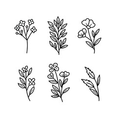 Minimalist Hand drawn Assorted Floral and Leaf Twigs Line Art Illustration