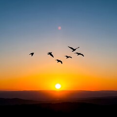 Fototapeta premium A beautiful orange evening sky silhouettes a flock of birds flying in migration over the calm water of the sea and lake during a nature sunset