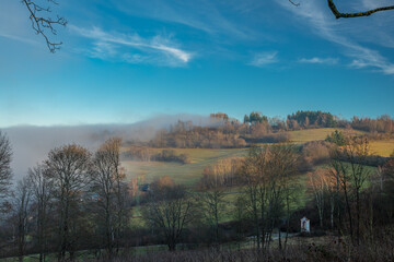 Park forest near old chapel trees sunrise fog in winter evening in Cesky Krumlov