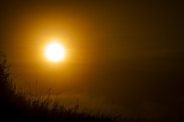 Park forest near old chapel trees sunrise fog in winter evening in Cesky Krumlov