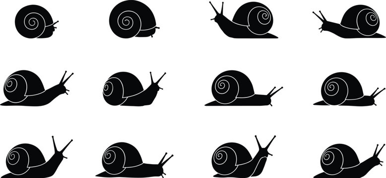 Snail silhouette vector set, crawling snail icons, spiral shell illustration, flat cad drawing, editable outline, isolated animal graphic