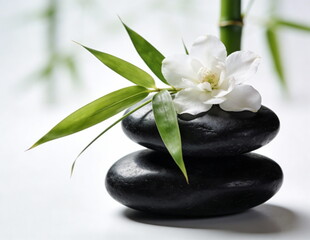 Serene Spa Stones with Bamboo and White Flower