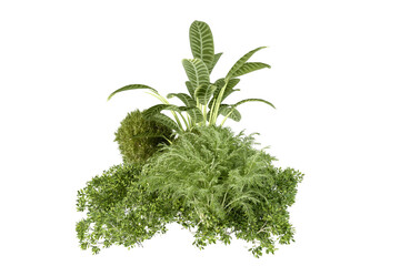 fresh dill isolated on white