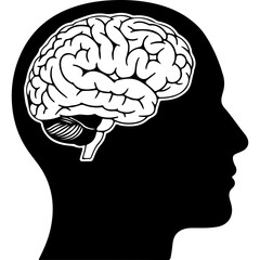 Human head silhouette with brain with transparent background
