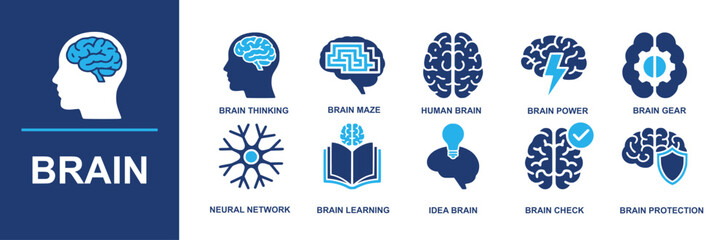 Brain icon set. Containing brain thinking, brain maze, human brain, brain power, brain gear, neural network, brain learning, idea brain, brain check, brain protection and more. Solid vector icons