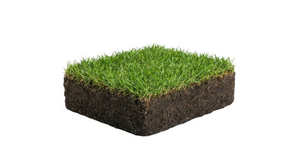 Square block of fresh green grass with soil isolated on white background