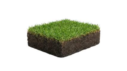 Square block of fresh green grass with soil isolated on white background