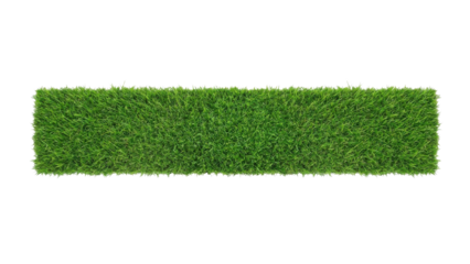 Long Rectangular Strip of Fresh Green Grass Isolated on White Background