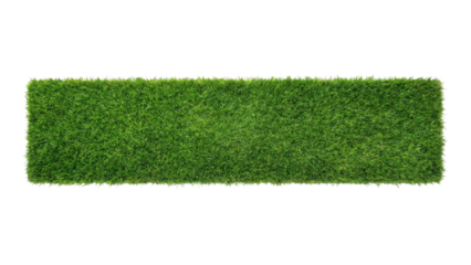 Isolated Green Grass Strip on White Background