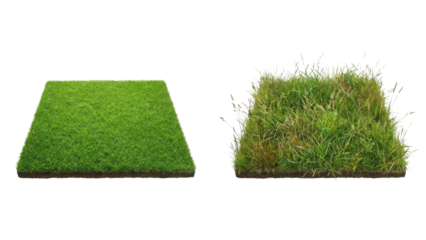 Well-maintained and wild square grass patches comparison, isolated on white background