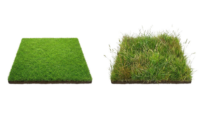 Well-maintained and wild square grass patches comparison, isolated on white background