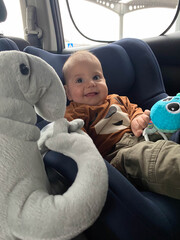 Baby Smiling at Plush Toy Elephant in Car Seat Close up