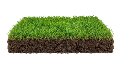 Isolated patch of green grass with soil layer on white background