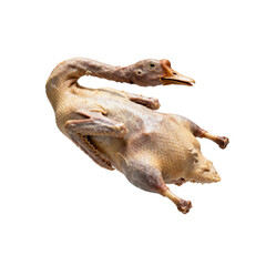 [Transparent Background PNG]Raw Uncooked Whole Duck for Cooking