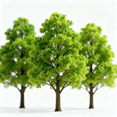 Three Miniature Green Trees in Natural Scene