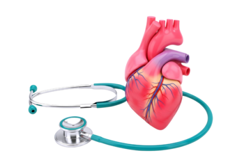 Heart health checkup with stethoscope isolated on transparent background