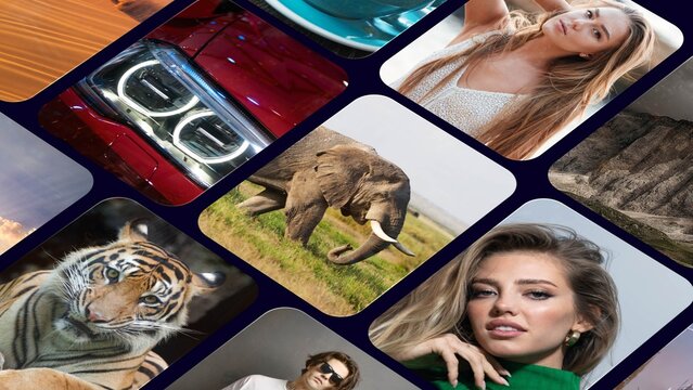 Stylish Photo Grid Portfolio Display